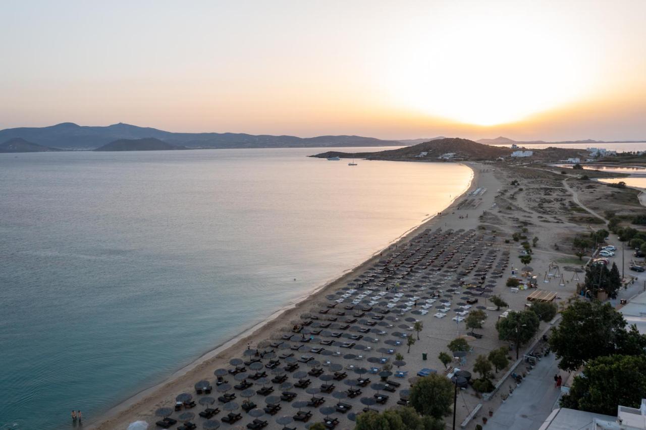 Naxos Leisure Hotel Ájosz Prokópiosz Kültér fotó